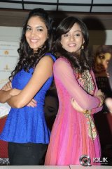 Prema Ishq Kaadhal Success Meet